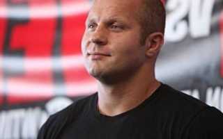 Нападение на дочь Фёдора Емельяненко оказалось провокацией
